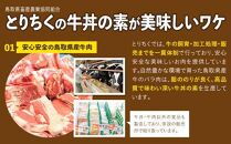 とりちく牛丼の素 8個