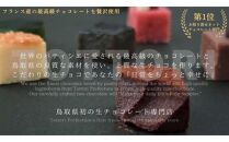 生チョコレートアソートセット 9個入