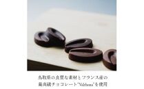 生チョコレートアソートセット 16個入