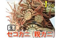 【魚倉】活お任せセコガニ 1kgセット