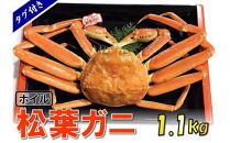【魚倉】タグ付きボイル松葉ガニ (特特大1,100g)