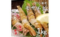 ＜真空冷凍＞幻の海老！猛者エビ（モサエビ） 1kg（さんチョク）