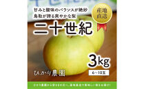 こだわり二十世紀梨 3キロ（ひかり農園）