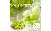 ［鳥取県産シャインマスカット］万葉のしずく ２kg（さんチョク）