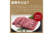 鳥取牛サンカクバラ焼肉用&nbsp;600g（冷凍）