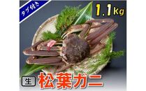 【魚倉】タグ付き生松葉ガニ (特特大1,100g)【到着日指定不可】