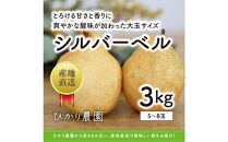完熟こだわりシルバーベル 3キロ（ひかり農園）