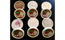 アイスクリーム 12個セット