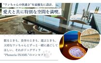 DogvillaPlumeria INAMI.B棟 1泊2名様 宿泊券（平日利用のみ）
