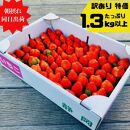 【先行予約】《限定3月発送》  朝採り同日出荷 イチゴ　御前崎産かおり野　訳あり徳用 1.3kg
