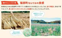 橋本さんちの砂丘らっきょう甘酢漬け 800g