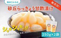 橋本さんちの砂丘らっきょう甘酢漬け 500g