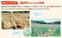 橋本さんちの砂丘らっきょう甘酢漬け 500g
