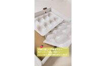 鳥取産苺「あきひめ」大粒詰め合わせ【苺工房たけうち】