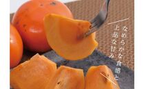 輝太郎柿&nbsp;3キロ【鳥取いなば農業協同組合】