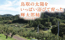 輝太郎柿&nbsp;3キロ【鳥取いなば農業協同組合】