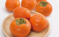 輝太郎柿&nbsp;3キロ【鳥取いなば農業協同組合】
