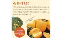 西条あんぽ柿【鳥取いなば農業協同組合】