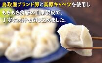 台湾水餃子&nbsp;豚水餃子&nbsp;30個入り