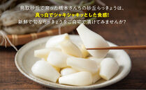 橋本さんちの根付き生らっきょう&nbsp;3.6kg