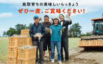 橋本さんちの根付き生らっきょう&nbsp;3.6kg