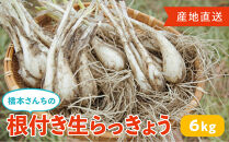橋本さんちの根付き生らっきょう&nbsp;6kg