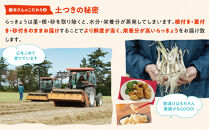 橋本さんちの根付き生らっきょう&nbsp;6kg