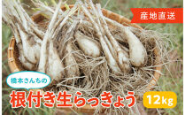 橋本さんちの根付き生らっきょう&nbsp;12kg