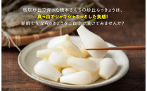 橋本さんちの根付き生らっきょう&nbsp;12kg