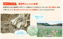 橋本さんちの根付き生らっきょう&nbsp;12kg