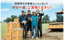 橋本さんちの根付き生らっきょう&nbsp;12kg