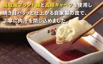 鳥取餃子 鳥取県産ブランド豚使用 60個セット (30個入り×2パック)