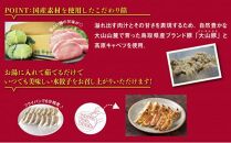 鳥取餃子 鳥取県産ブランド豚使用 60個セット (30個入り×2パック)