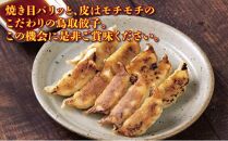 鳥取餃子 鳥取県産ブランド豚使用 60個セット (30個入り×2パック)