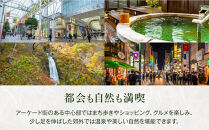 仙台箪笥　整理箪笥L-ハイタイプ　拭き漆【伝統 工芸品  タンス たんす 和タンス 仙台】