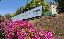 【定期便 全3回】【type-A】12／JU-NI詰替450mlセットtype-A