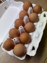 ファフィ卵10個入3パック（サイズ不ぞろい）
