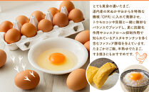 ファフィ卵10個入3パック（サイズ不ぞろい）