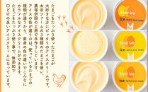 きみいろアイス　60g×8個