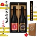 「GI和歌山梅酒」に指定された 至極の本格 梅酒 2本セット ［MG77］