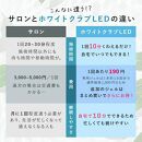 《ホワイトニング&nbsp;LED照射機&nbsp;ジェル1本&nbsp;セット&nbsp;》&nbsp;歯&nbsp;ホームホワイトニング&nbsp;セルフホワイトニング&nbsp;WHITE&nbsp;CLUB&nbsp;&nbsp;[SP-WC065LED-G1]