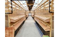 「こだわり新鮮たまご」3パック(30個)セット