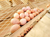 「こだわり新鮮たまご」3パック(30個)セット