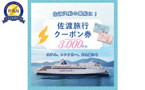佐渡旅行クーポン券（3,000円分）