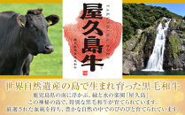 【屋久島牛】黒毛和牛赤身・霜降りミックス焼肉500ｇ