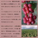 とびだす焙煎所&nbsp;キリマンジャロ&nbsp;200g&nbsp;【粉】