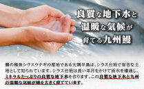 土用丑の日 鹿児島県大隅産 備長炭手焼うなぎ蒲焼4尾+きざみ2袋（740ｇ）