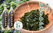 湯がきわかめ 大2本セット