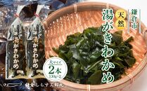天然湯がきわかめ 大2本セット