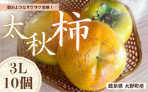 【先行予約】梨のような食感！&nbsp;Farm&nbsp;m&aの太秋柿&nbsp;3L×10個&nbsp;秀品&nbsp;岐阜県&nbsp;大野町（2026年10月中旬～発送）農家直送&nbsp;果物&nbsp;フルーツ&nbsp;秋の味覚&nbsp;柿&nbsp;かき&nbsp;太秋&nbsp;たいしゅう